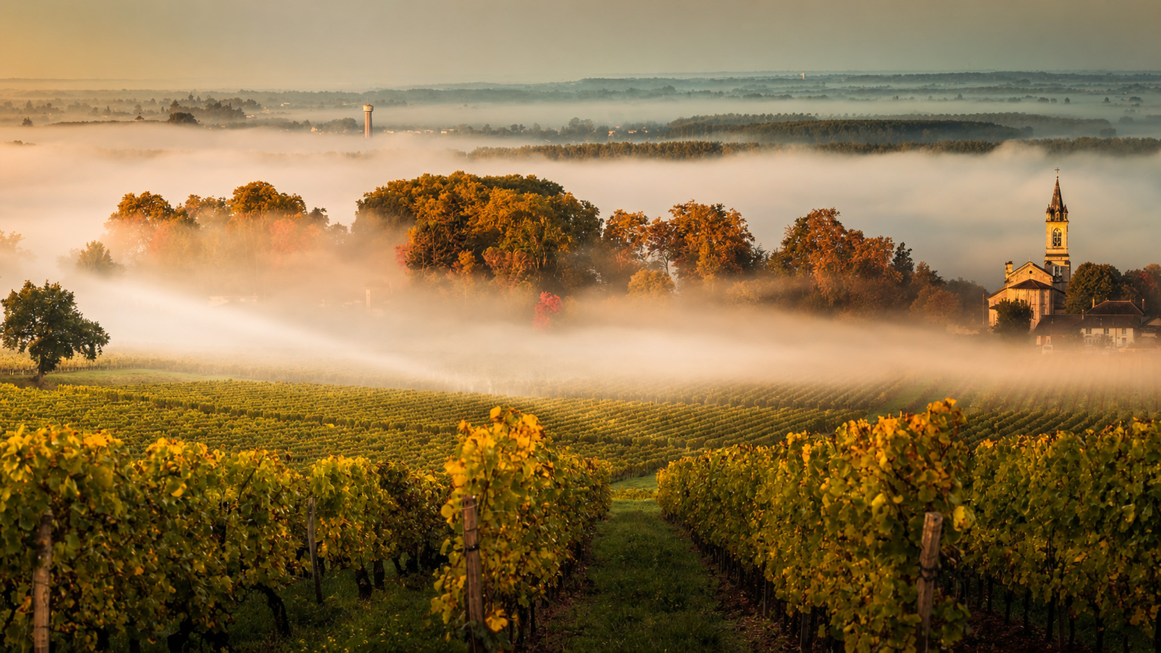 Bordeaux travel experience