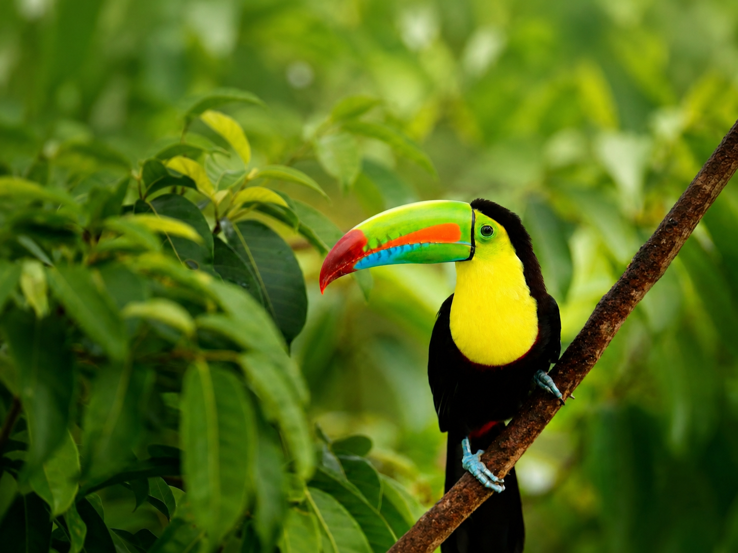 Costa Rica travel experience